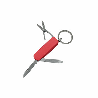 Rot