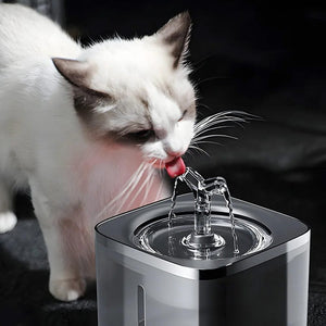 Transparenter, grauer Wasserbrunnen für Haustiere in einem Anwendungsbeispiel mit einer Katze