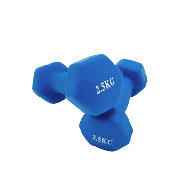 2,5 kg