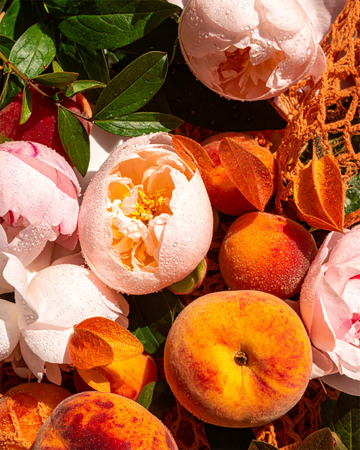 Pfirsiche und pinke Blumen